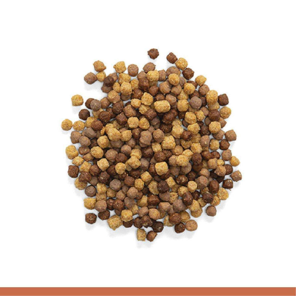 2 lbs Natural Nut Flavor Bird Food L1189