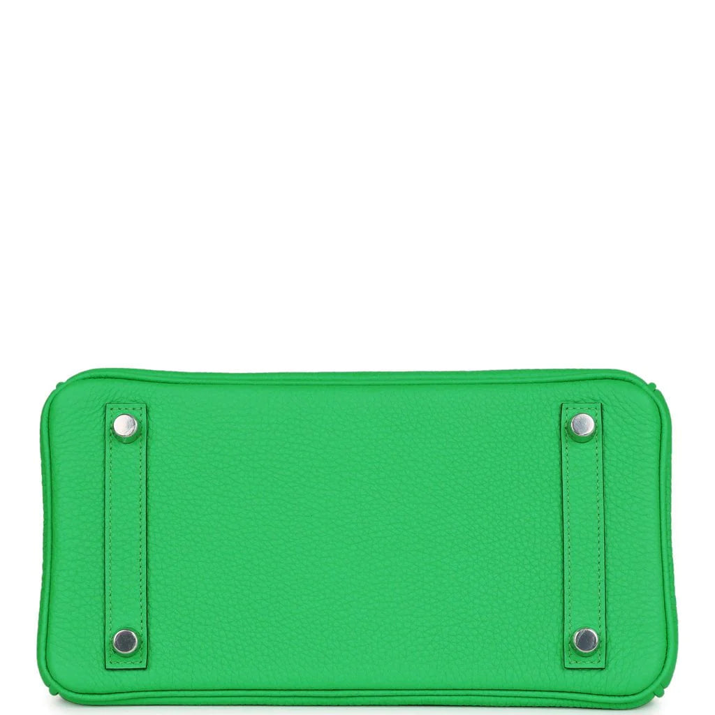 Birkin 25 Togo Palladium Hardware N24383