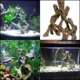 Mangrove Root D510