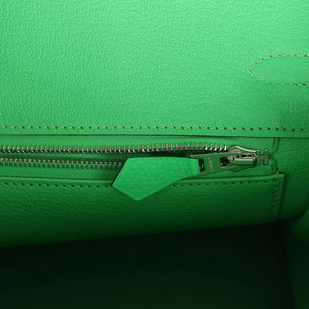 Birkin 25 Togo Palladium Hardware N24383