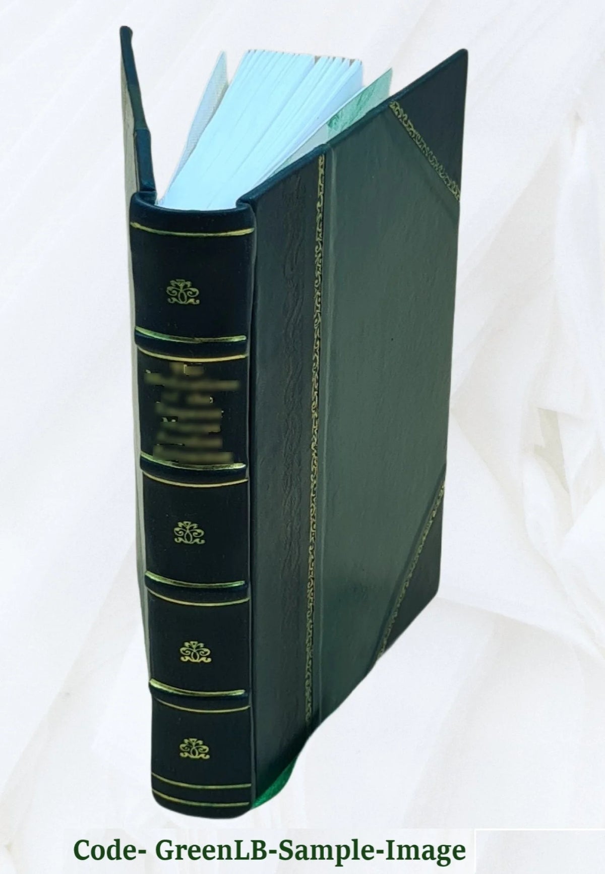 Leather Bound Book E2008
