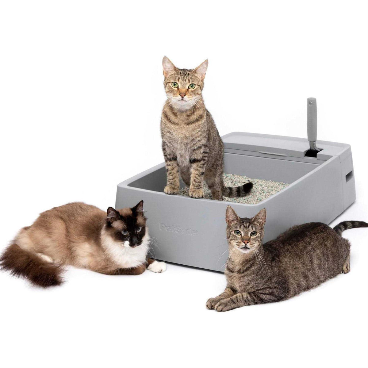 Multi-Cat Litter Box Q961453