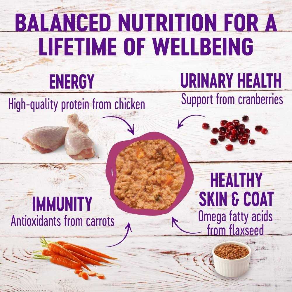 Cat Food Q1805
