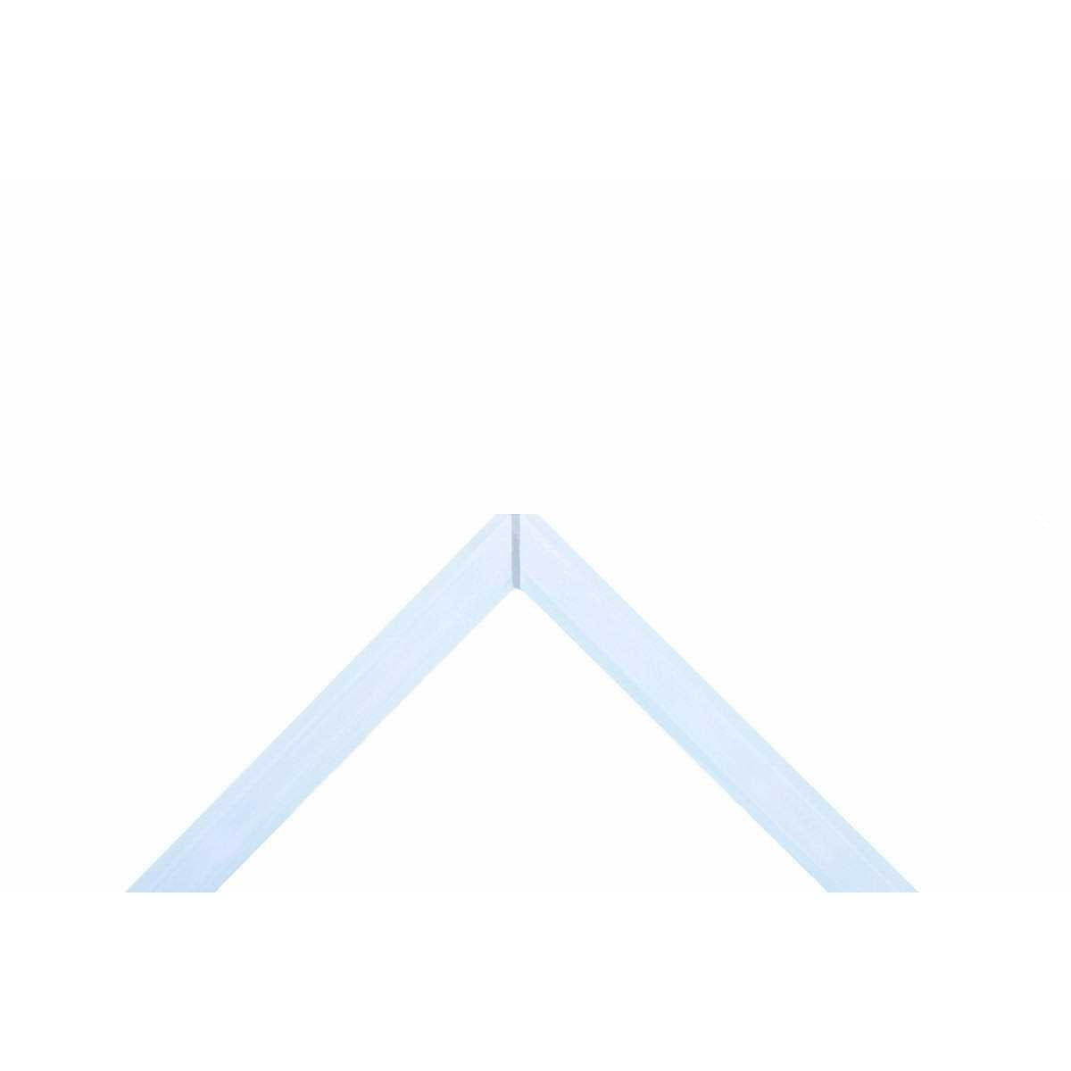 Rimless Aquarium 9 gallons Z1176