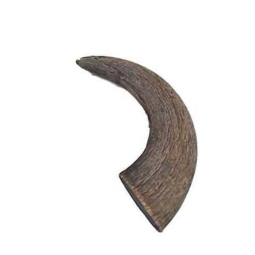Natural Water Buffalo Horns Dog Treats I290
