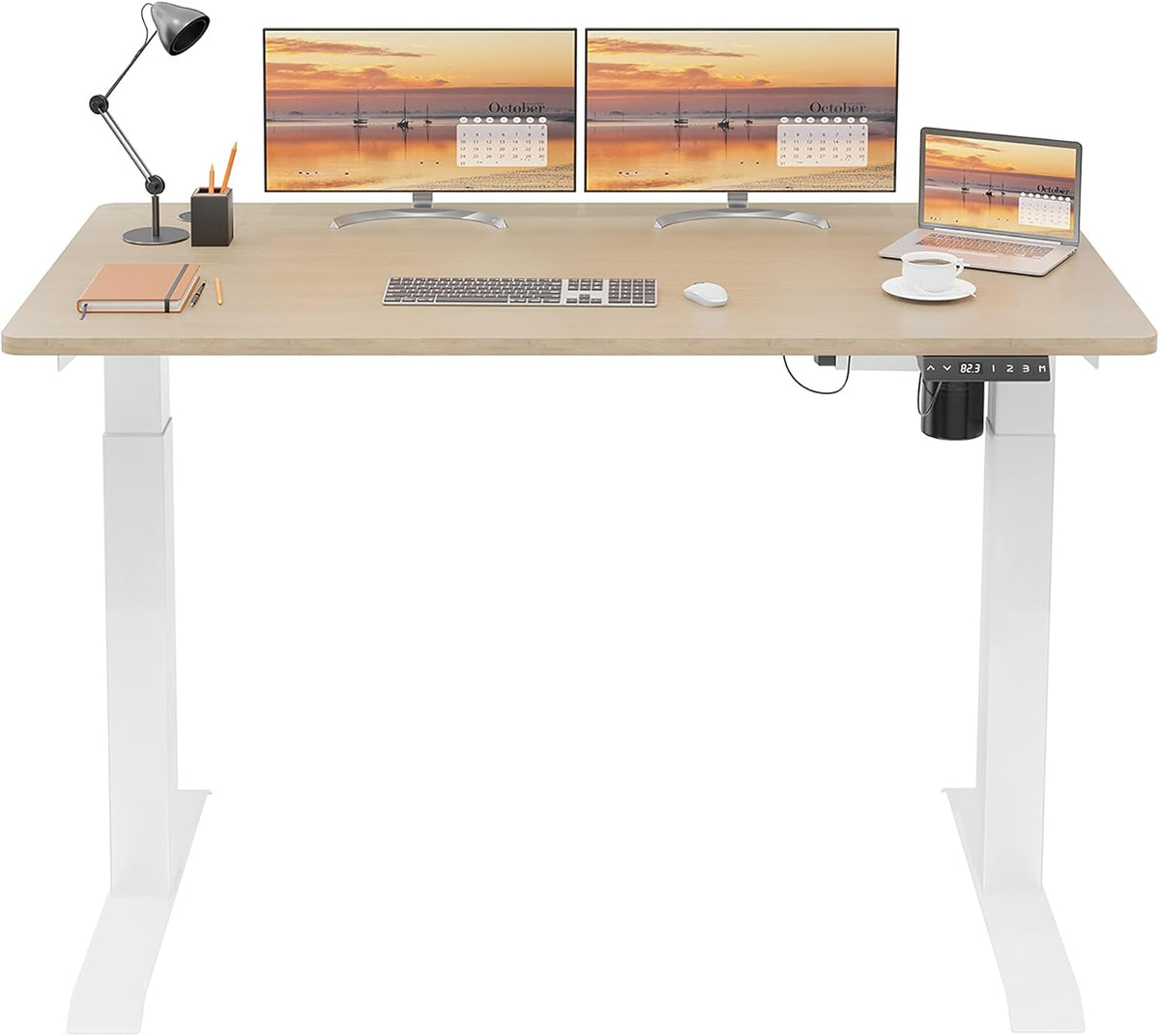 Height Adjustable Electric Standing Desk 48 x 24 S896745