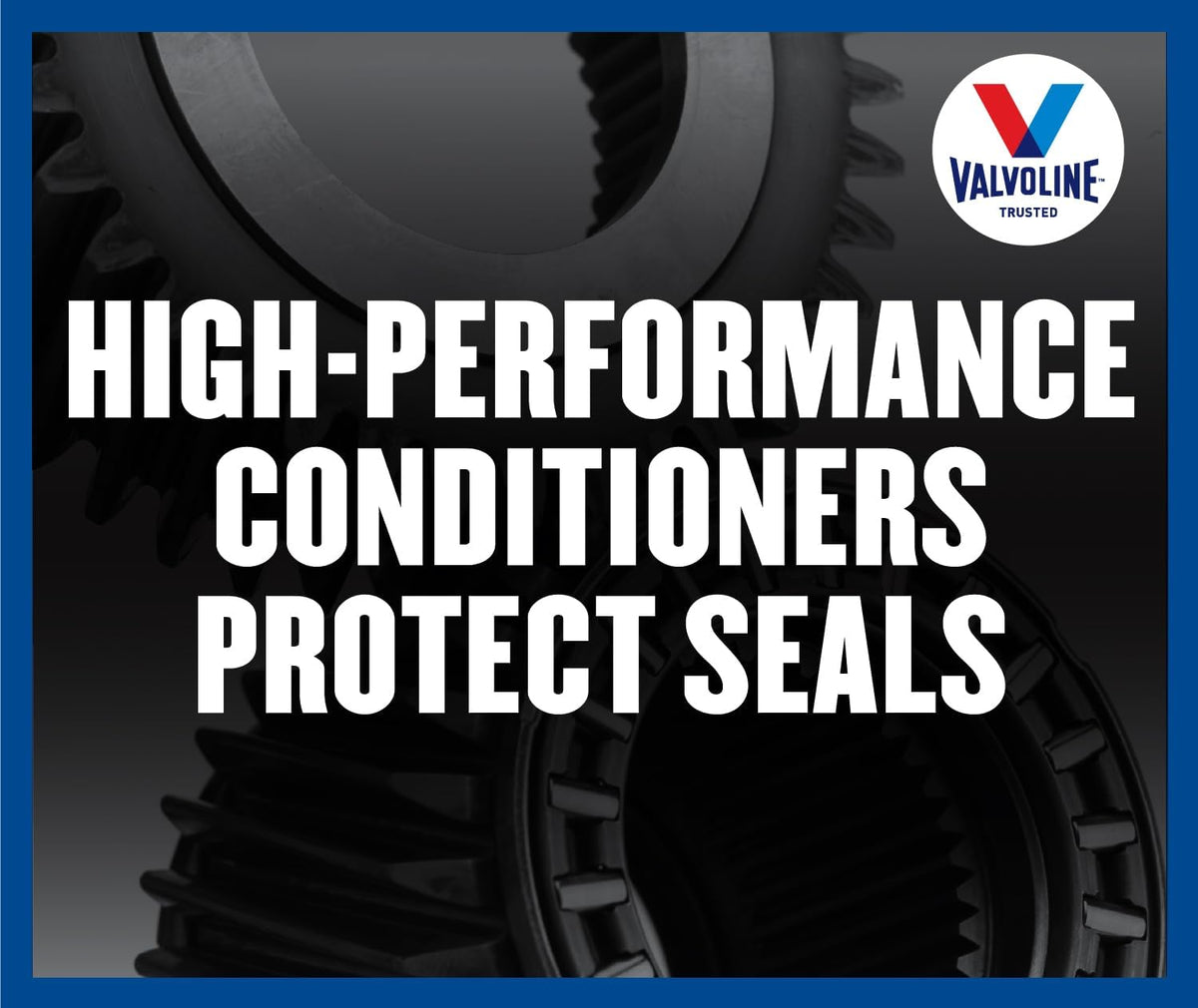Automatic Transmission Fluid 1 QT V546