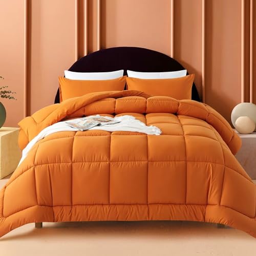 Black Lightweight Queen Size 3 Pieces Down Alternative Comforter Set with 2 Pillowcases B969964