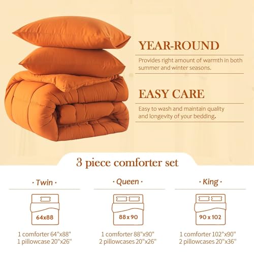 Black Lightweight Queen Size 3 Pieces Down Alternative Comforter Set with 2 Pillowcases B969964