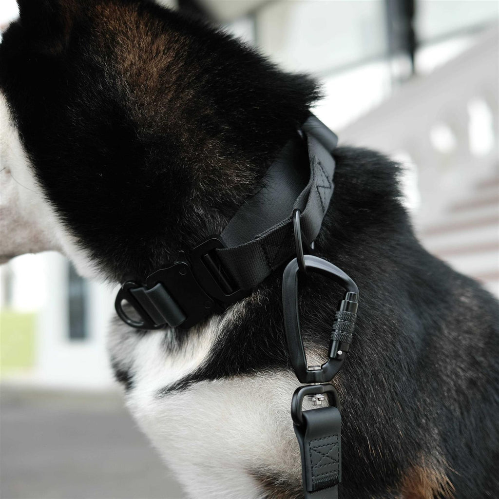 Waterproof Martingale Collar V475548