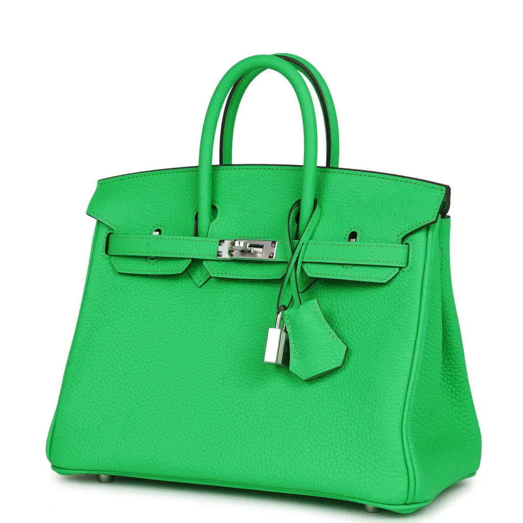 Birkin 25 Togo Palladium Hardware N24383
