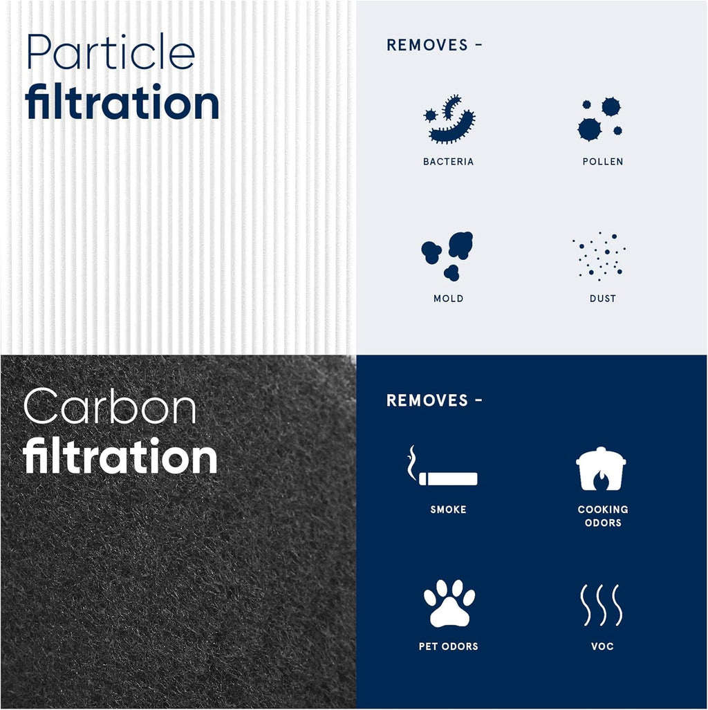 Particle and Activated Carbon Replacement Filter Pack of 2 C608