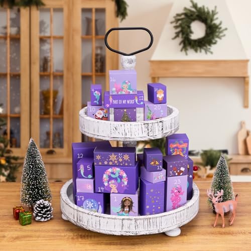 Advent Calendar 2025 with Hair Accessories and Fidget Toys D8469