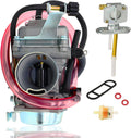 Carburetor with Fuel Gas Petcock Pack of 2 C144372