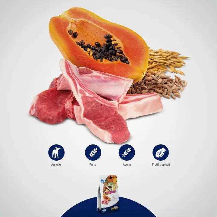 Dry Dog Food Lamb Spelt Oats and Tropical Fruits Adult Medium & Maxi D344652