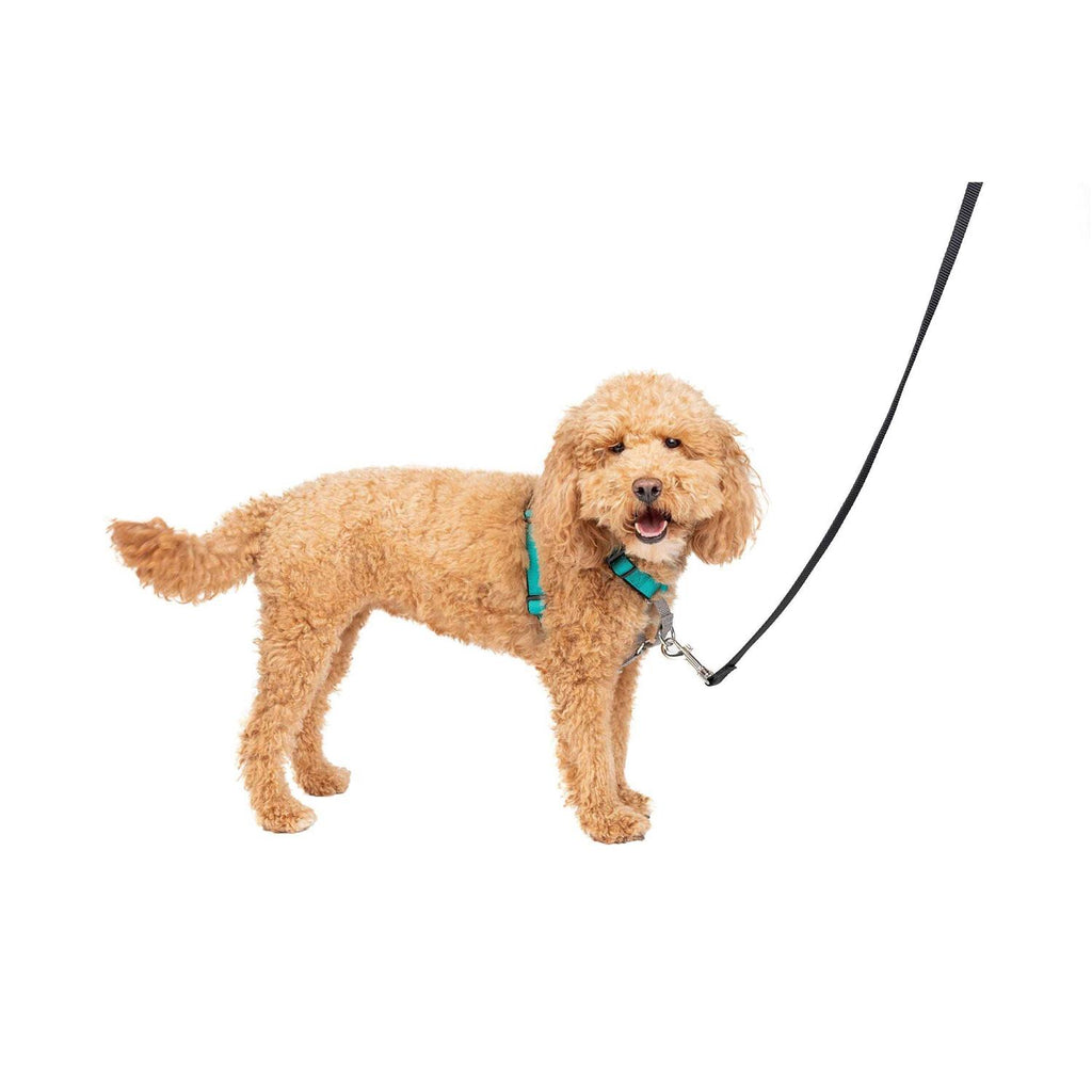 3 in 1 Harness P4450