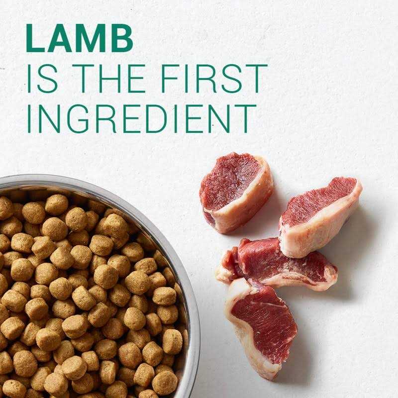Lamb & Rice Adult Dog Food B33463