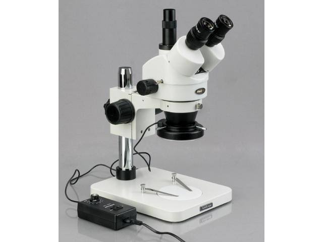 Trinocular Stereo Zoom Microscope with WH10x Eyepieces W36061