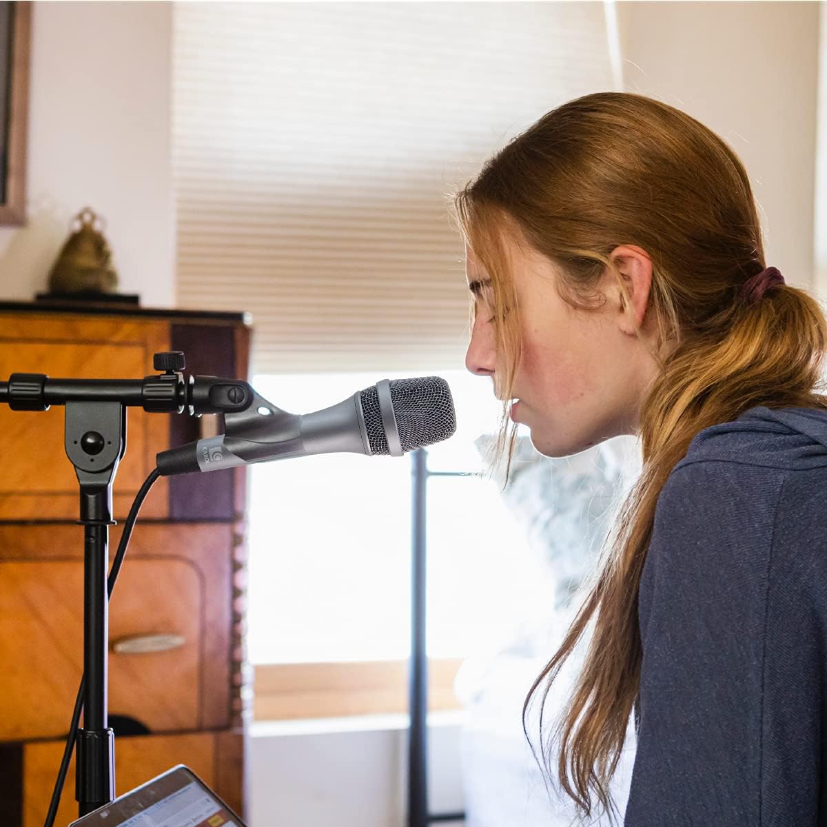 Dynamic Microphone Vocal with Super-Cardiod Unidirectional Black A27058