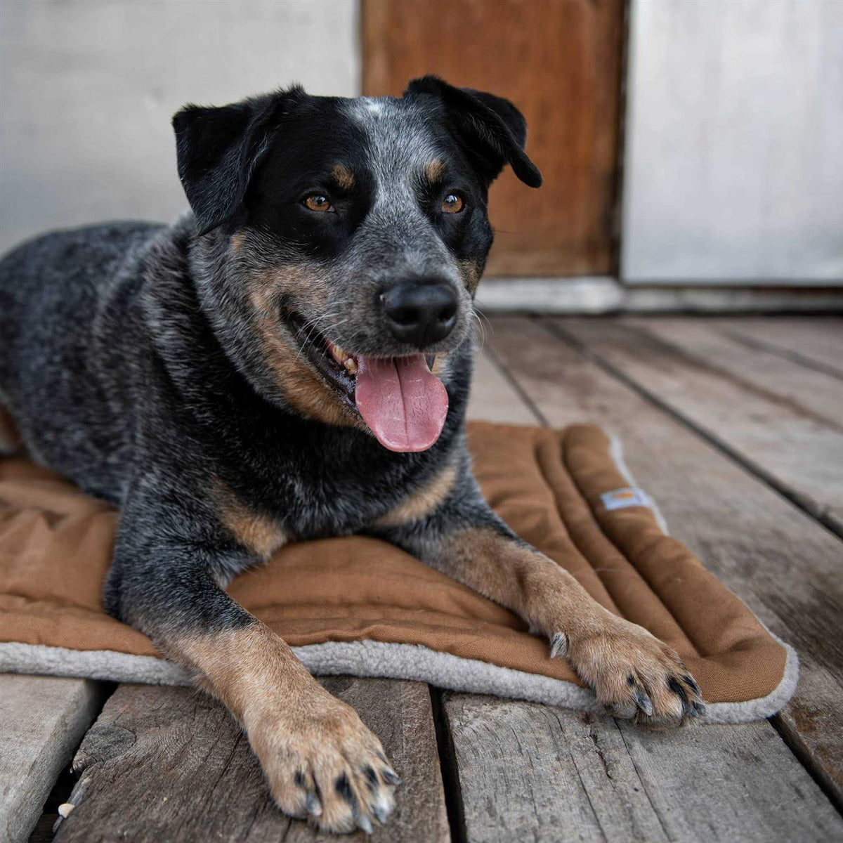 Dog Pad J245
