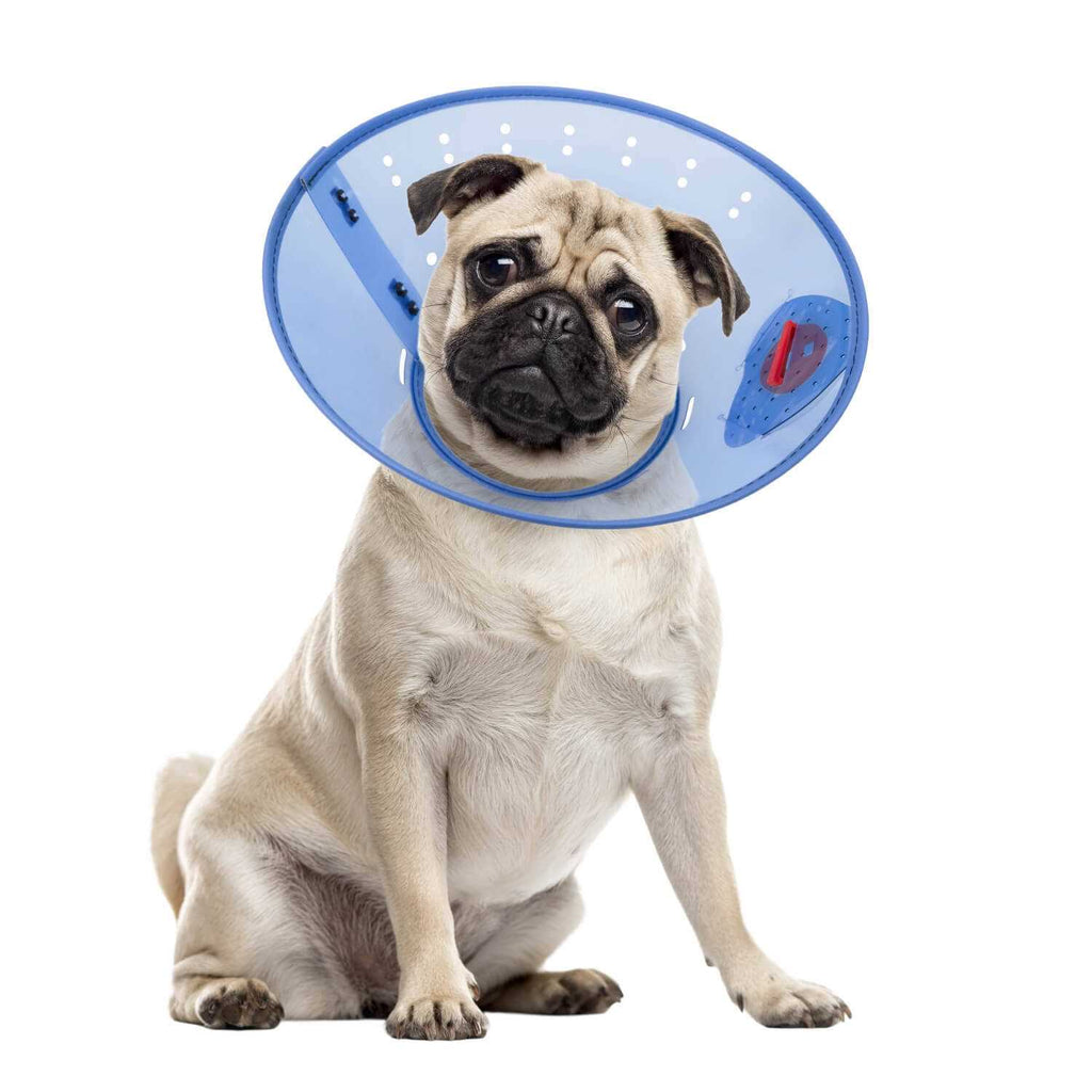 Calming Dog E-Collar F63359