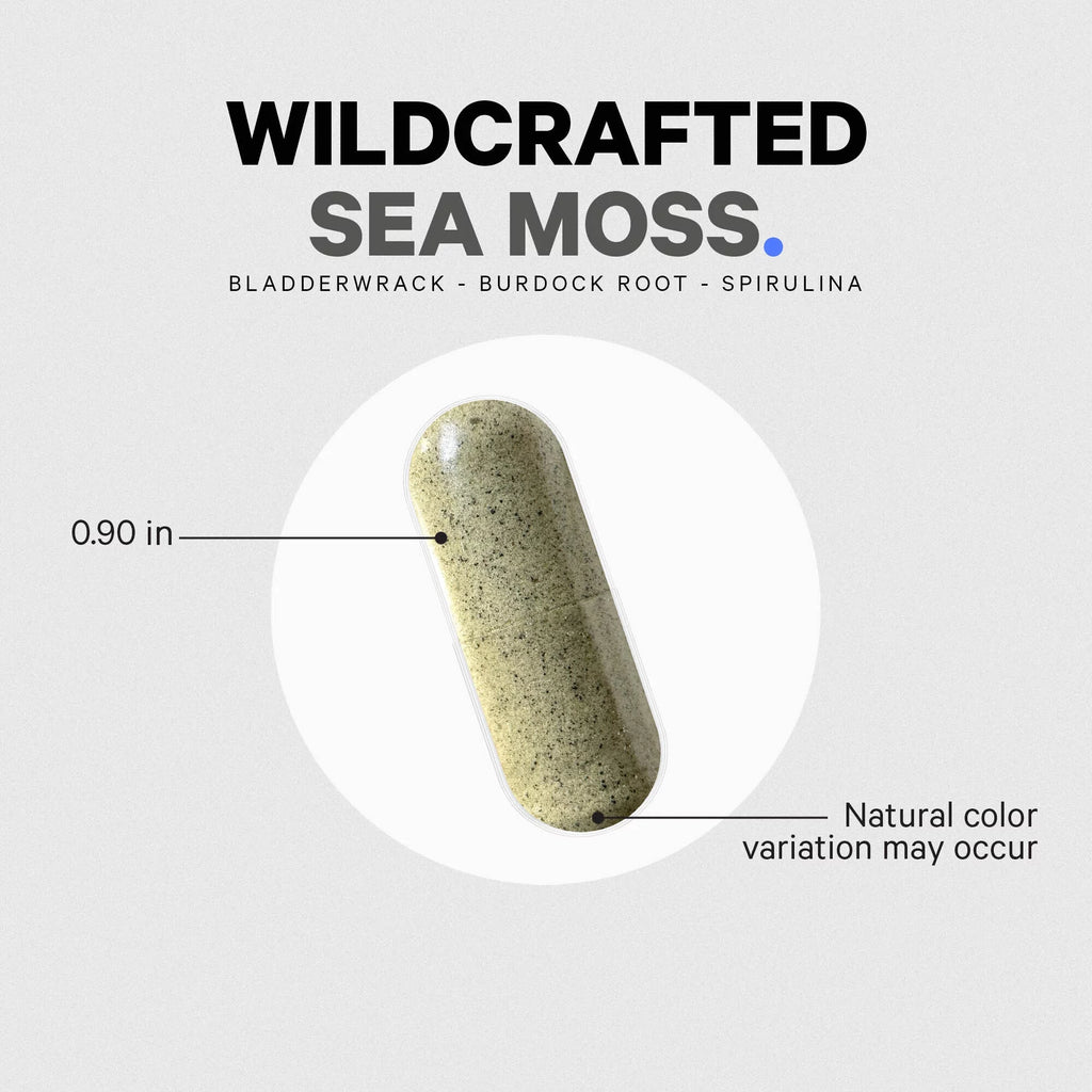 Irish Sea Moss, Bladderwrack, Burdock Root & Spirulina 120 ct Z8236
