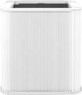 Particle and Activated Carbon Replacement Filter Pack of 2 C608