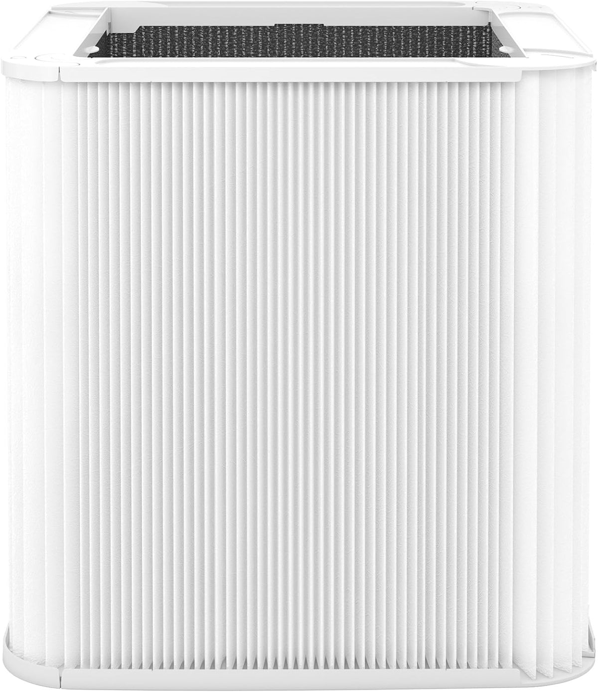 Particle and Activated Carbon Replacement Filter Pack of 2 C608