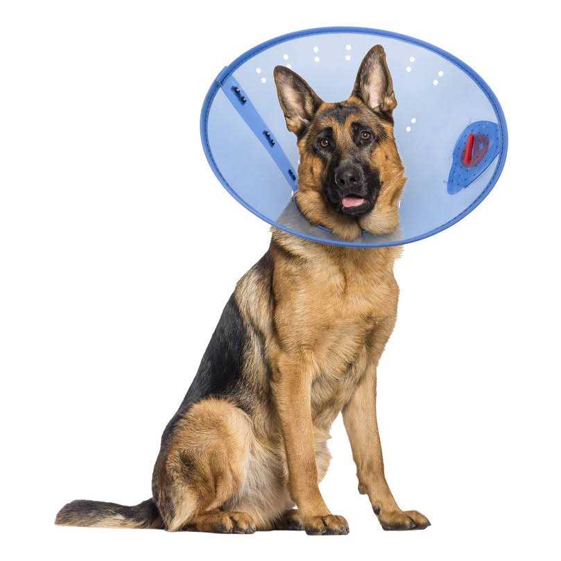 Calming Dog E-Collar F63359