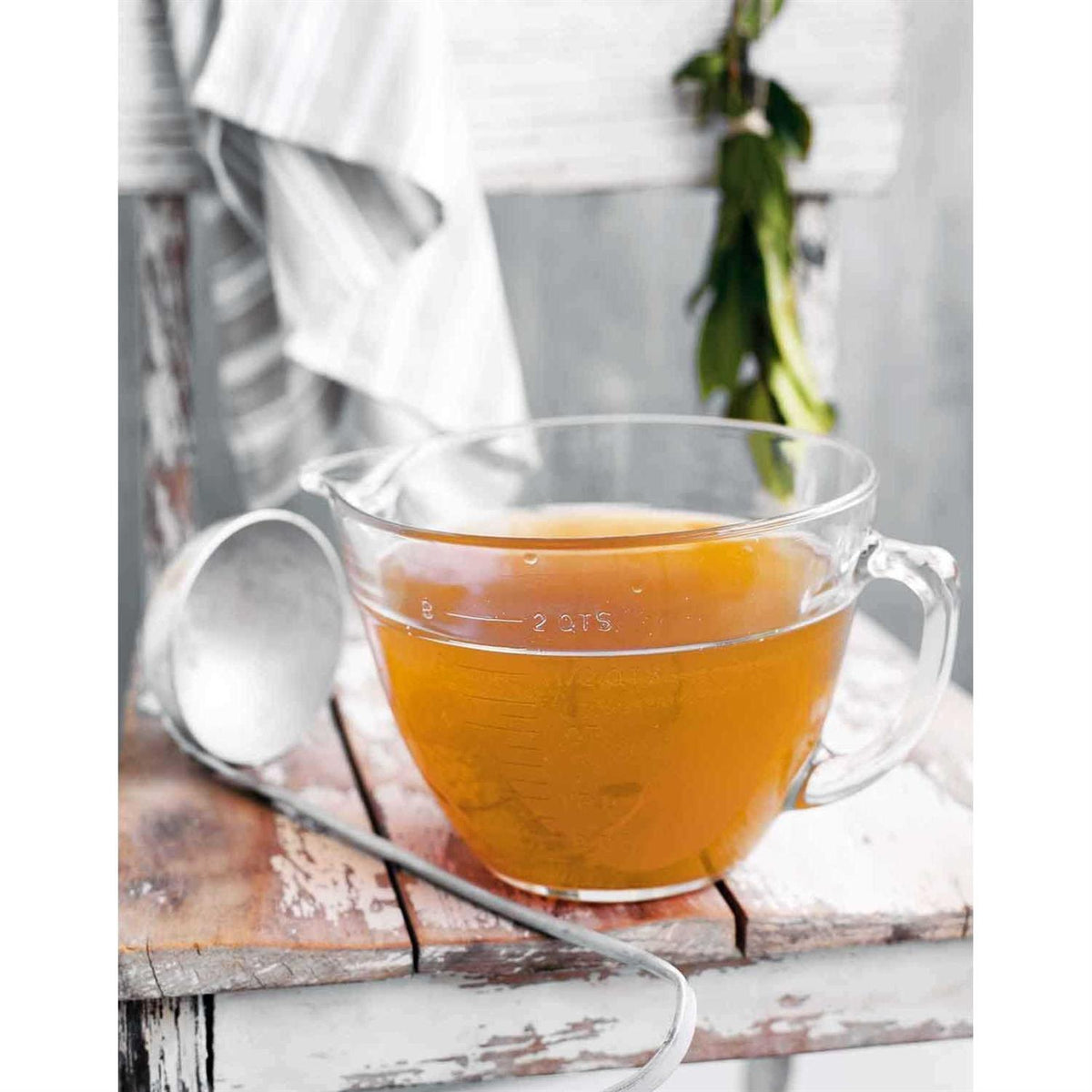 Pet Bone Broth Protein Powder with Collagen R5482