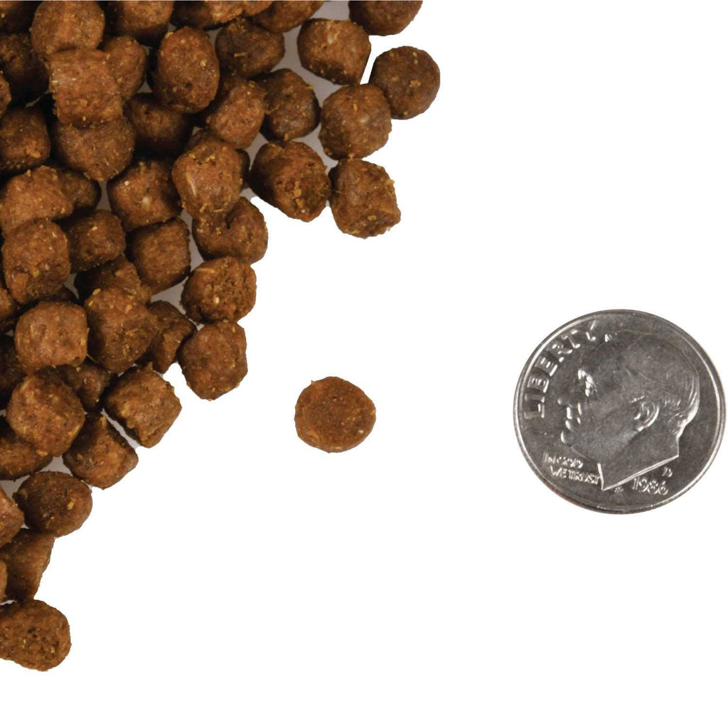 Four Star Cat Food M20607
