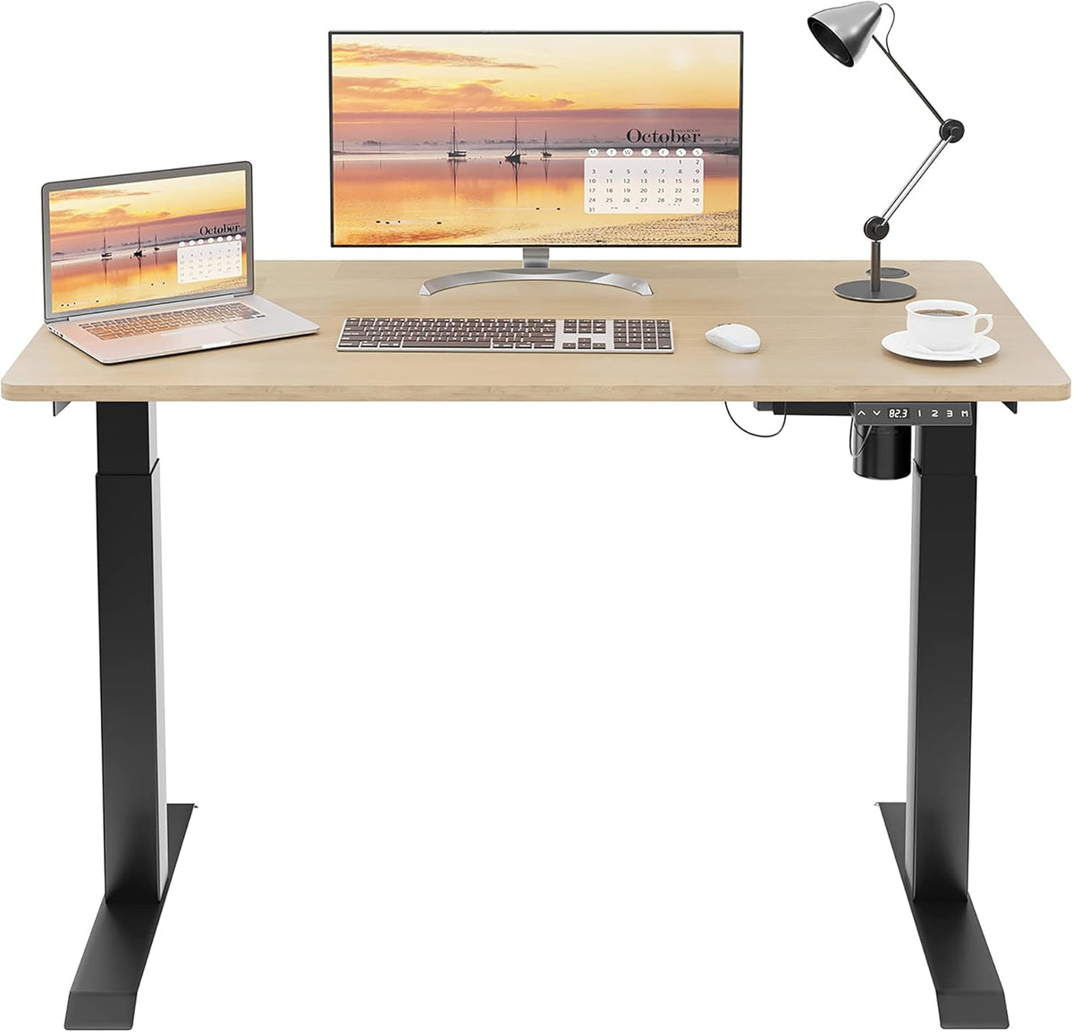 Height Adjustable Electric Standing Desk 48 x 24 S896745