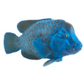 Blue Grouper Wildlife Figurine V6291