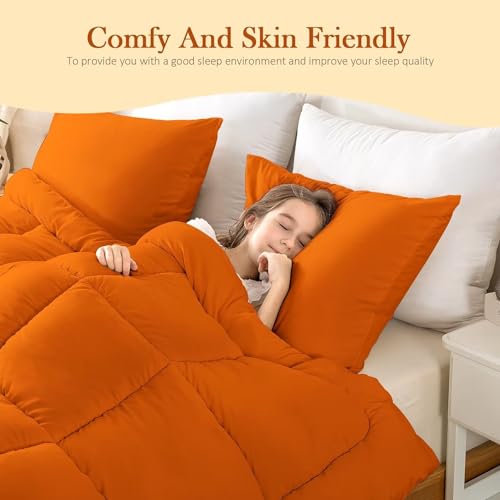 Black Lightweight Queen Size 3 Pieces Down Alternative Comforter Set with 2 Pillowcases B969964