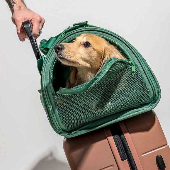 Travel Carrier C755803