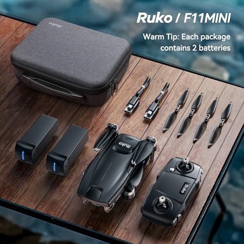 F11MINI Drone with Camera 4K, Under 249g, 60 Mins Flight with 2 batteries, 5GHz Transmission, GPS Auto Return, Brushless Motor, Foldable and Lightweight, FPV Quadcopter U6398