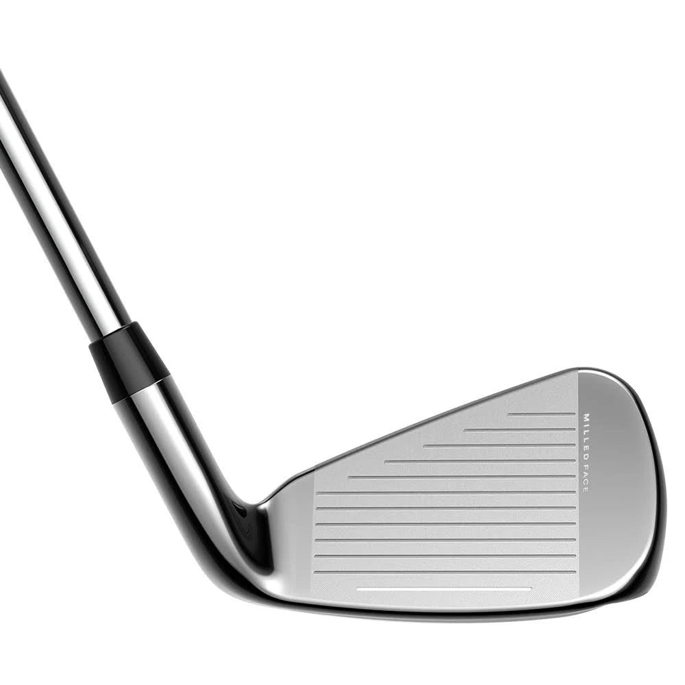 Individual Iron P858175