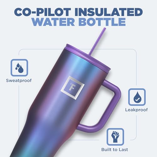 16 Oz Insulated Travel Tumbler with Straw E637395