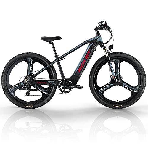 29inch Fat Tire Electric Mountain Bike with 500w 48v Removable Battery B9817