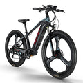 29inch Fat Tire Electric Mountain Bike with 500w 48v Removable Battery B9817