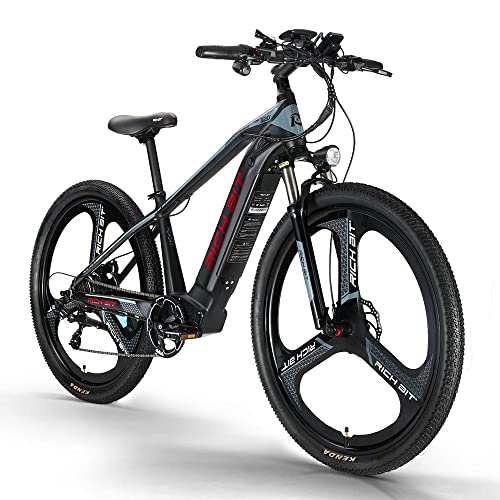 29inch Fat Tire Electric Mountain Bike with 500w 48v Removable Battery B9817