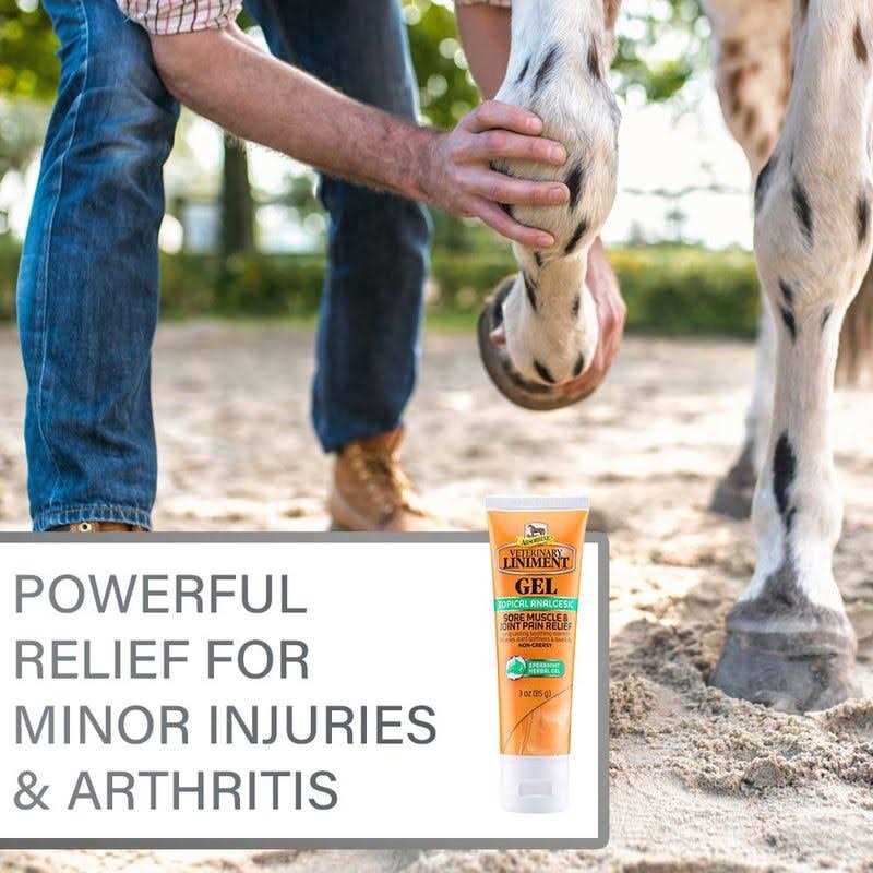 Veterinary Liniment Gel V9764