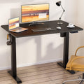 Height Adjustable Electric Standing Desk 48 x 24 S896745