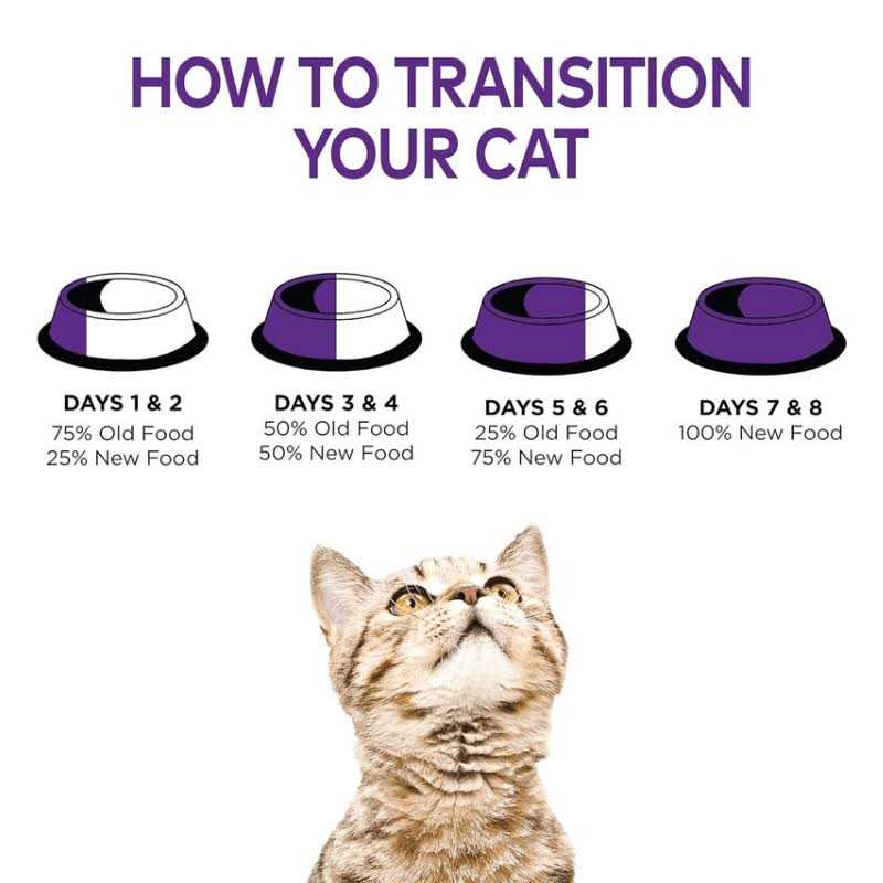 Cat Food Q1805