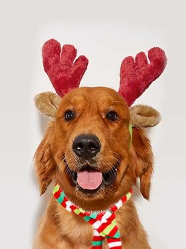 Christmas Reindeer Antler Headband for Dog P296