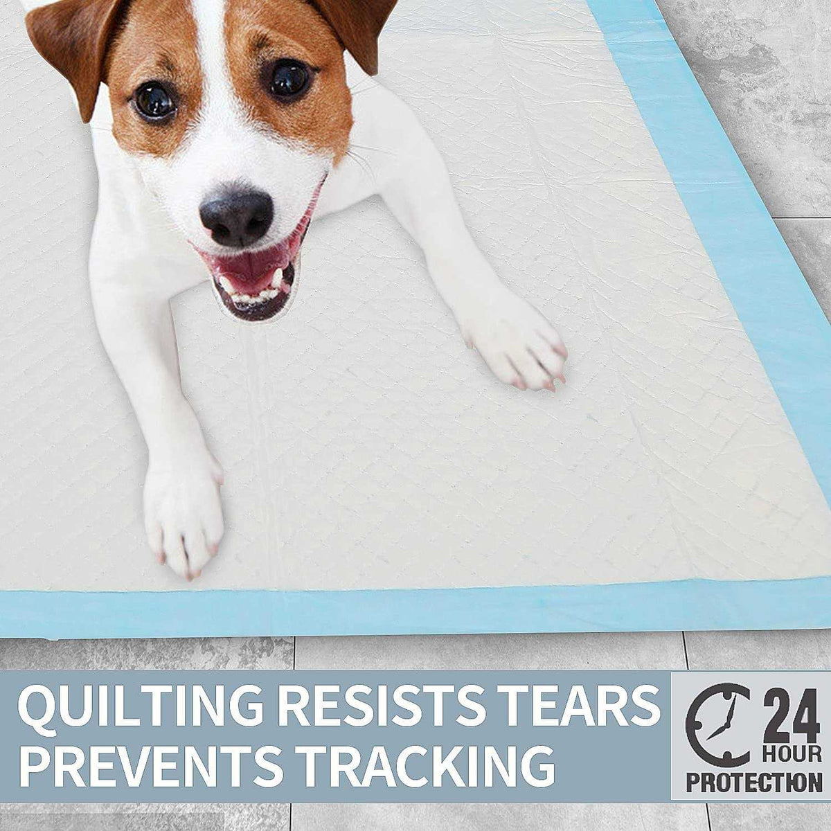Super Absorbent & Leak-Proof Dog Pee Training Pads R595577