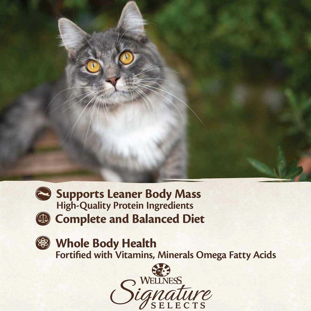 Grain Free Canned Cat Food F563456