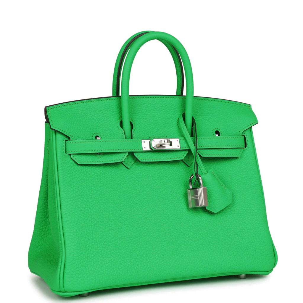 Birkin 25 Togo Palladium Hardware N24383