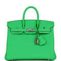 Birkin 25 Togo Palladium Hardware N24383