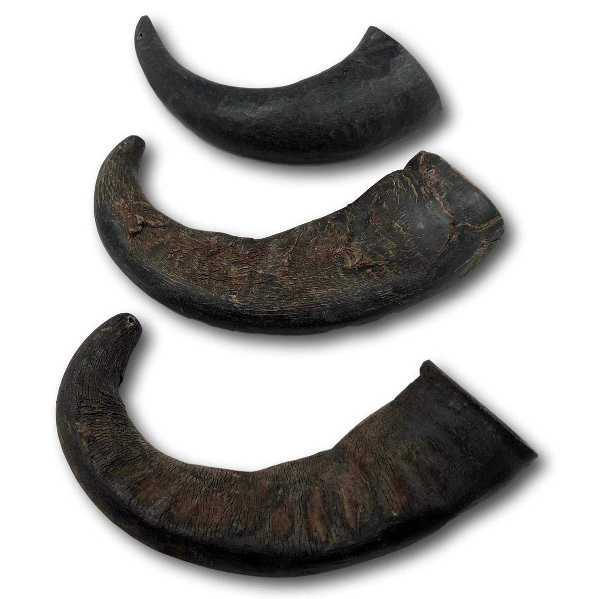 Natural Water Buffalo Horns Dog Treats I290